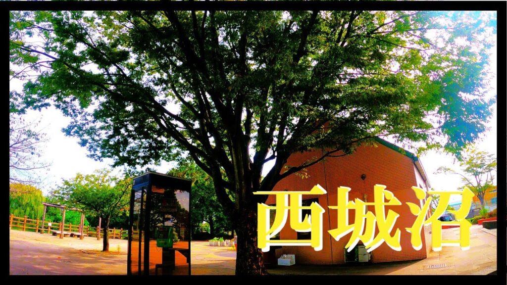 【埼玉県蓮田市の元荒川水系？西城沼公園釣り！？】