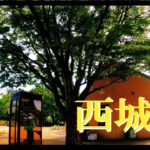 【埼玉県蓮田市の元荒川水系？西城沼公園釣り！？】