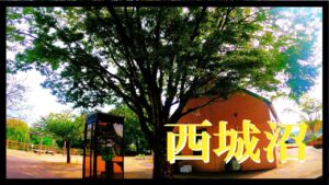 【埼玉県蓮田市の元荒川水系？西城沼公園釣り！？】