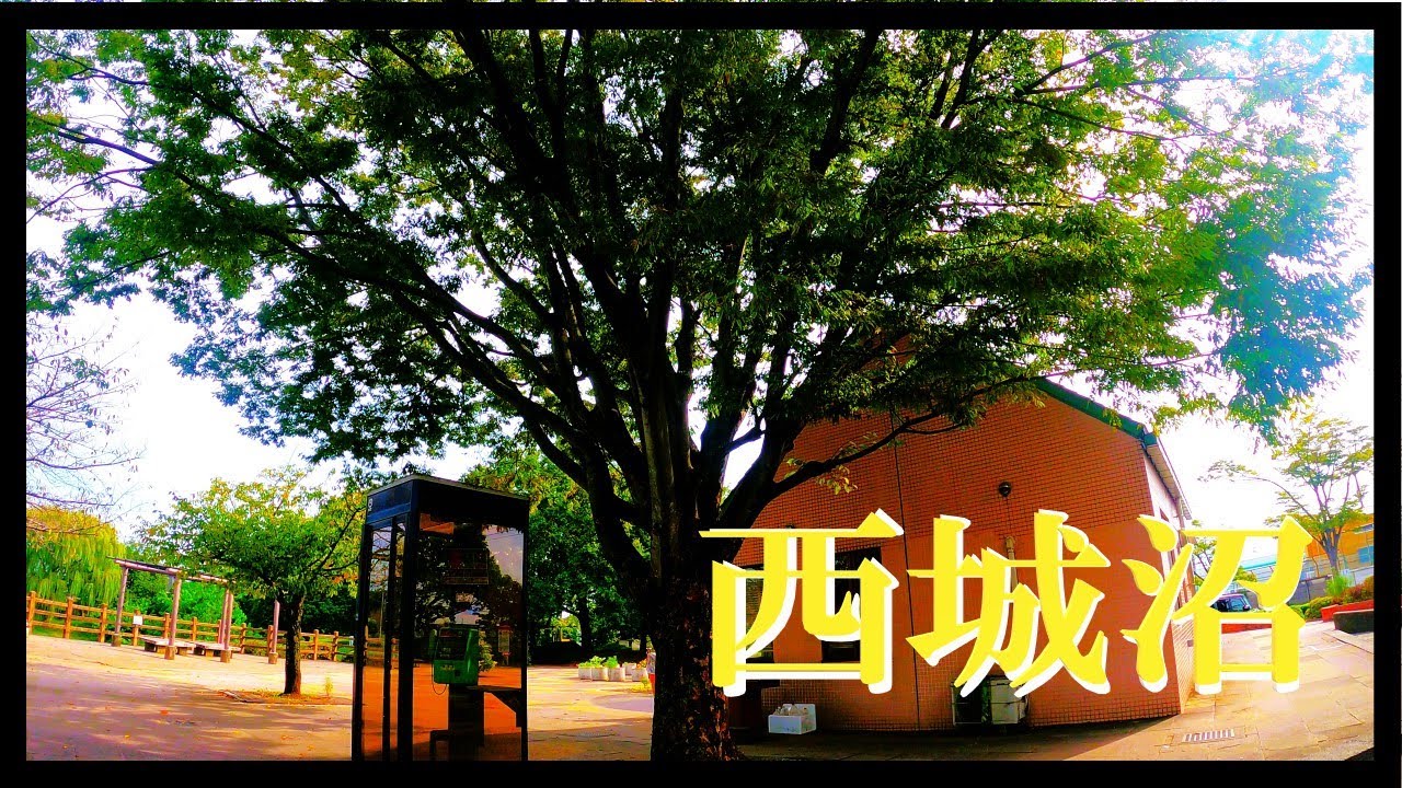 【埼玉県蓮田市の元荒川水系?西城沼公園釣り!?】