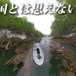 過去最強の秘境の地へ伝説の巨大魚を釣りにいったら奇跡が起きた【奥只見・銀山湖】