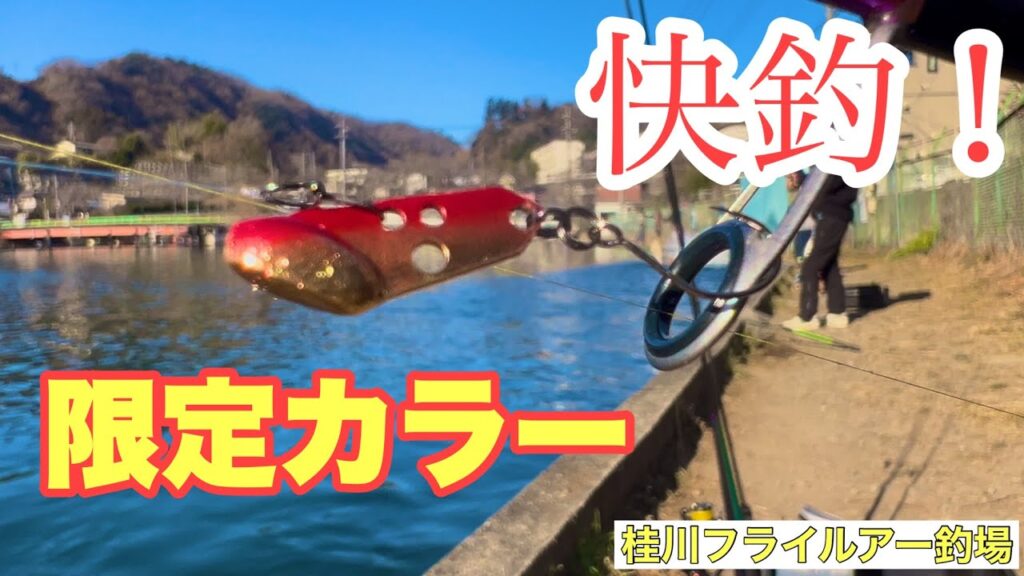 巻きの最終手段ビーバイブ‼️【エリアトラウト】【管理釣り場】【管釣り】【ネオスタイル】【桂川フライルアー釣場】