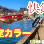 巻きの最終手段ビーバイブ‼️【エリアトラウト】【管理釣り場】【管釣り】【ネオスタイル】【桂川フライルアー釣場】