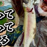 【秩父長瀞】あまりにも釣れないので初めて管理釣り場へ【キャンプ】