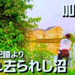 【埼玉バス釣り】加須の忘れ去られし沼でバス調査【元管釣り？】