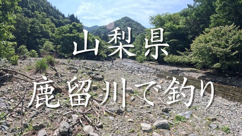 【渓流釣り】山梨県の鹿留川に初入渓！