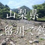 【渓流釣り】山梨県の鹿留川に初入渓！