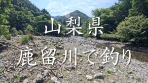 【渓流釣り】山梨県の鹿留川に初入渓!