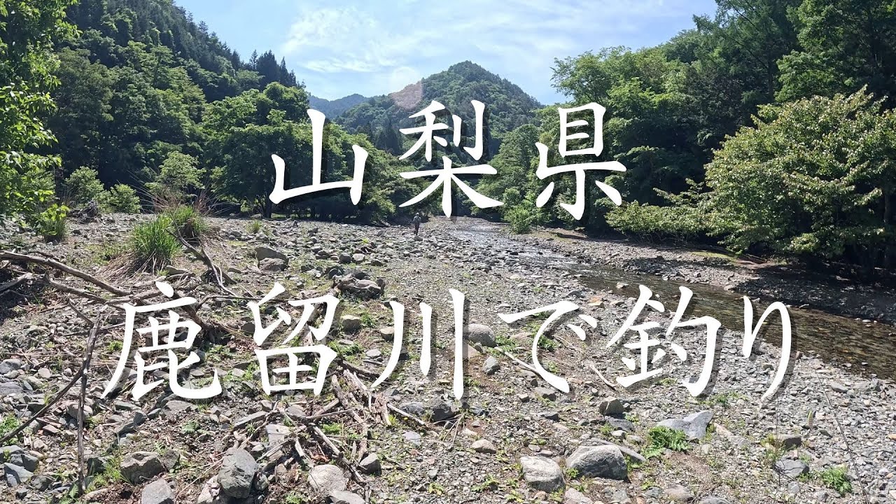 【渓流釣り】山梨県の鹿留川に初入渓！