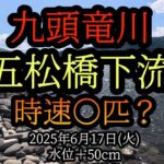 九頭竜川【五松橋】下流　時速○匹？鮎釣り