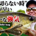 【バス釣り】遠賀川 | ルアーを追い切らない時に答えが早い“パワービビビバグ”【釣り時季】