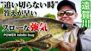 【バス釣り】遠賀川 | ルアーを追い切らない時に答えが早い“パワービビビバグ”【釣り時季】