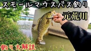 元荒川でスモールマウスバス釣り【埼玉県】