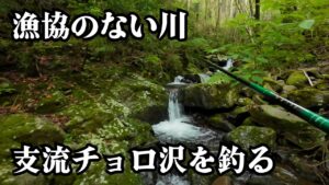 漁協のない川。気になっていたチョロ沢へ──まさかの展開が…【渓流釣り】