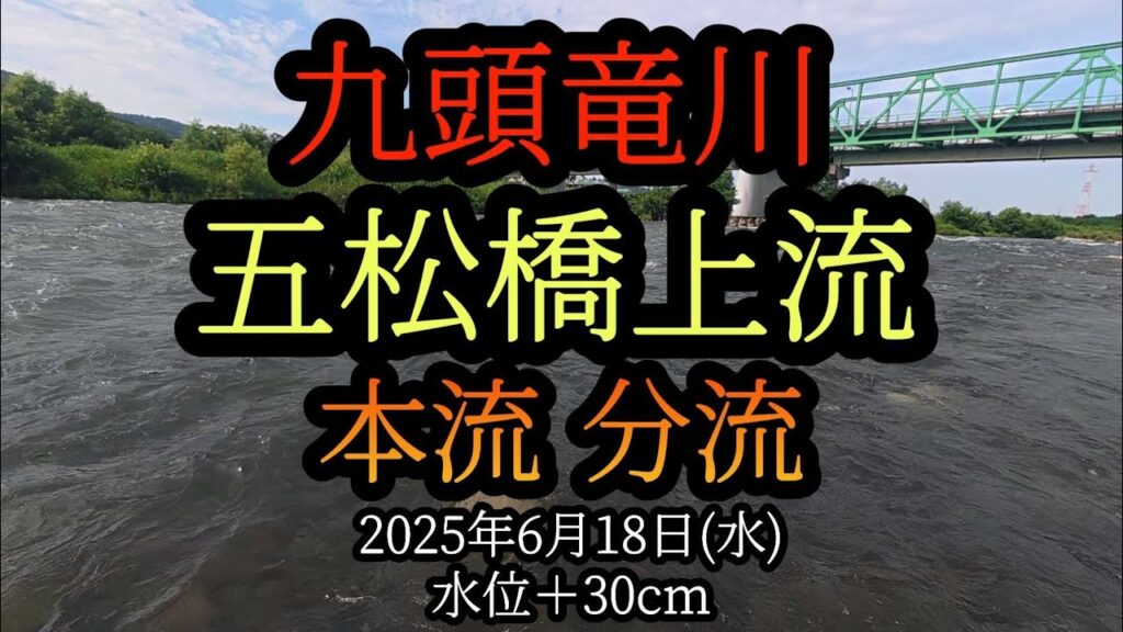 【五松橋】上流、分流　九頭竜川中部の鮎釣り