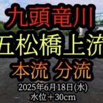 【五松橋】上流、分流　九頭竜川中部の鮎釣り