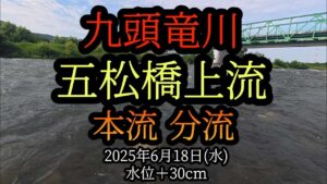 【五松橋】上流、分流 九頭竜川中部の鮎釣り