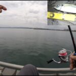小サバと尺アジを釣る　初夏の表浜名湖ライトゲーム　アジング