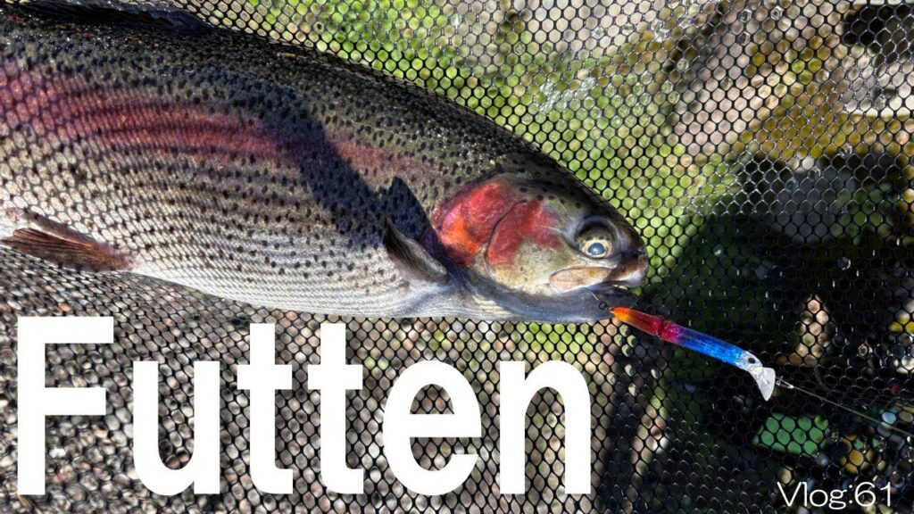 【エリアトラウト】フッテンは大物に好反応！？【小菅トラウトガーデン】