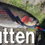 【エリアトラウト】フッテンは大物に好反応！？【小菅トラウトガーデン】