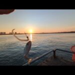 このワームヤバ過ぎる…【浜名湖釣り】最速情報📢