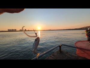 このワームヤバ過ぎる…【浜名湖釣り】最速情報📢