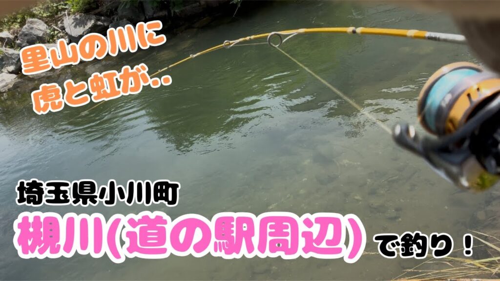 里山の川に虎と虹が大繁殖！？埼玉県小川町槻川(道の駅周辺)で釣り！