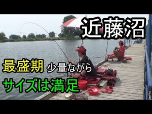 『近藤沼』こんなに当たりが出る何て かずおにはワクワク沼の感覚