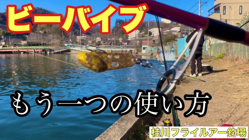 ビーバイブのもう一つの使い方‼️【エリアトラウト】【管理釣り場】【管釣り】【ネオスタイル】【桂川フライルアー釣場】