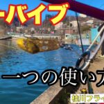 ビーバイブのもう一つの使い方‼️【エリアトラウト】【管理釣り場】【管釣り】【ネオスタイル】【桂川フライルアー釣場】