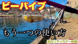 ビーバイブのもう一つの使い方‼️【エリアトラウト】【管理釣り場】【管釣り】【ネオスタイル】【桂川フライルアー釣場】