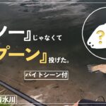 ミノーじゃなくて、スプーン投げてみた。【管理釣り場】【エリアトラウト】【ユーランド清水川】