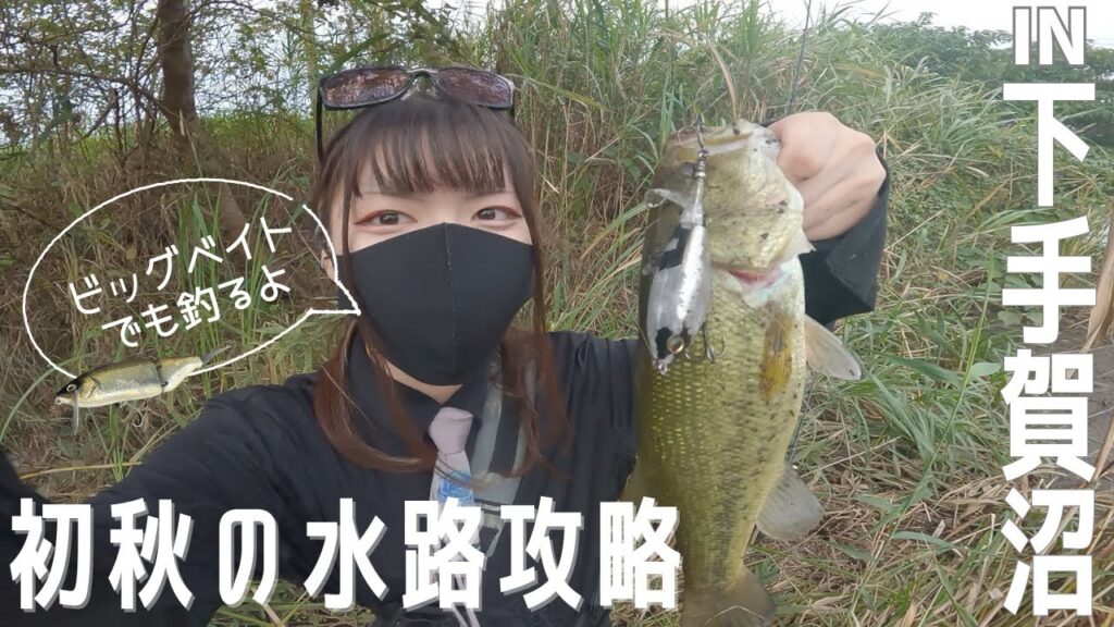 初見のポイントも「巻き」でガン攻め！【手賀沼】朝イチから刺激的過ぎるバイトも！【チョッポ】【バス釣り】【亀成川】