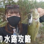 初見のポイントも「巻き」でガン攻め！【手賀沼】朝イチから刺激的過ぎるバイトも！【チョッポ】【バス釣り】【亀成川】