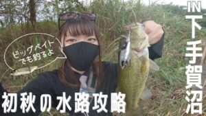 初見のポイントも「巻き」でガン攻め!【手賀沼】朝イチから刺激的過ぎるバイトも!【チョッポ】【バス釣り】【亀成川】