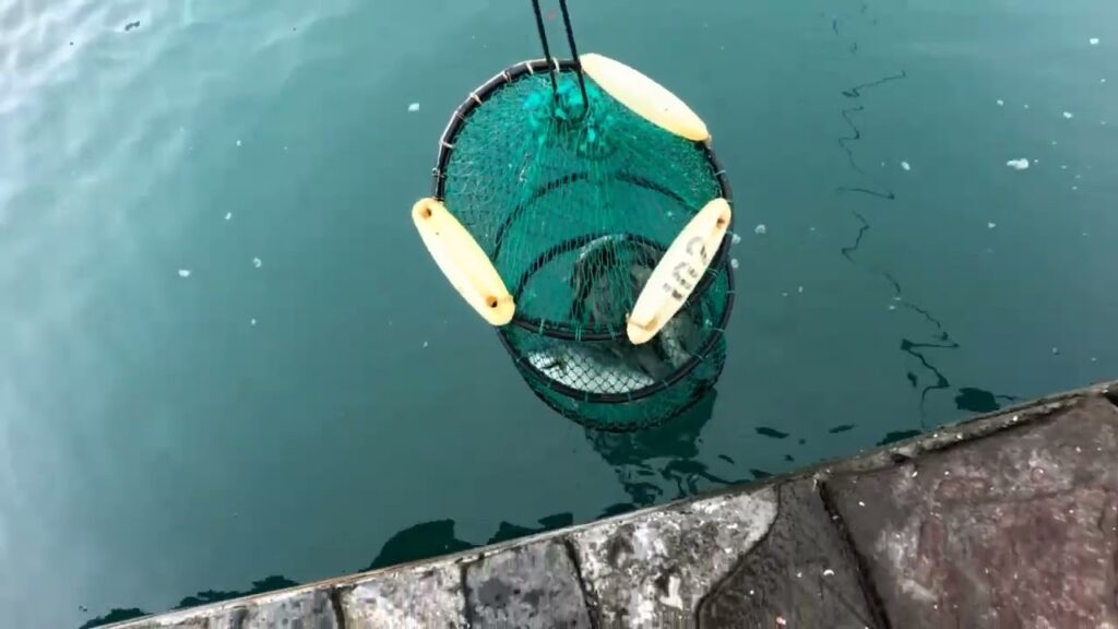 南浜名湖の釣り　海釣公園