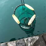 南浜名湖の釣り　海釣公園