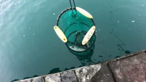 南浜名湖の釣り　海釣公園