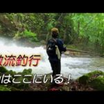 【渓流釣り】濁流釣行！魚はここにいる！～木曽川～ミミズの横取りに失敗したカワネズミ 　#渓流釣り　#エサ釣り　#ルアー　#激流釣行