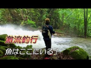 【渓流釣り】濁流釣行！魚はここにいる！～木曽川～ミミズの横取りに失敗したカワネズミ 　#渓流釣り　#エサ釣り　#ルアー　#激流釣行