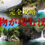 魔物が棲む秘境の渓流｜ダムから“未開の源流域”を２日間で完全攻略【渓流釣り】