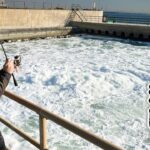 ここに魚いるの！？『温水が吹き出す工場』で海釣りしてみた。