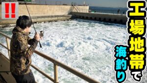 ここに魚いるの!?『温水が吹き出す工場』で海釣りしてみた。