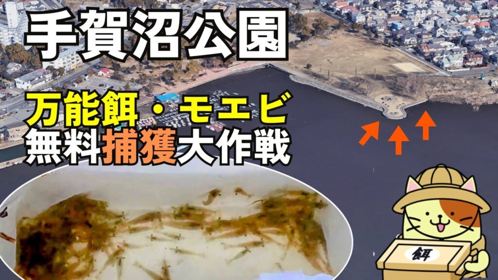 我孫子「手賀沼公園」モエビ無料捕獲大作戦｜地元釣り師の爺様から学ぶモエビ獲りのポイントとコツ