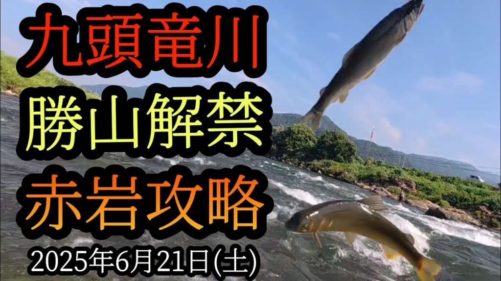 【勝山解禁】九頭竜川鮎釣り　赤岩攻略