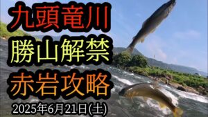 【勝山解禁】九頭竜川鮎釣り 赤岩攻略