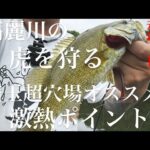 【埼玉バス釣りポイント】高麗川の虎を狩れ！穴場オススメポイント！【バス釣り】
