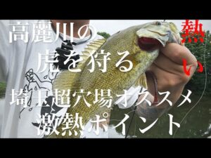 【埼玉バス釣りポイント】高麗川の虎を狩れ!穴場オススメポイント!【バス釣り】