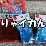 ダイソーアミエビ…思ってたんと違う…