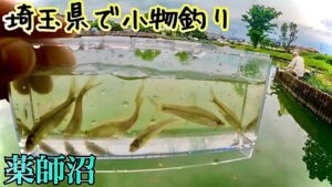 薬師沼で五目釣り【埼玉県】